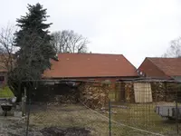 Tanne 008.webp