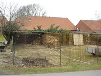 Tanne 010.webp