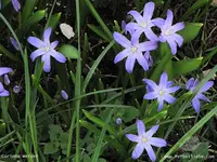 Garten33.webp