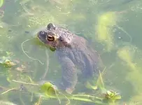 DSCF0777.webp
