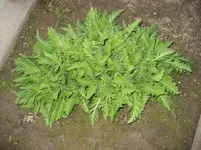 IMG_0640.webp
