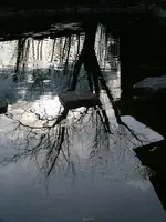 DSCF0719.webp