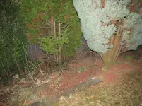 005.webp