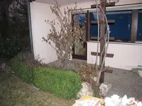 009.webp