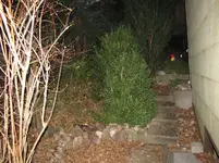 012.webp