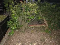 021.webp