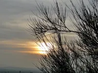 DSC04576.webp