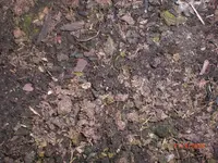 CIMG3444Angezeichnet.webp