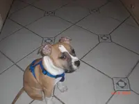 CIMG3371.webp