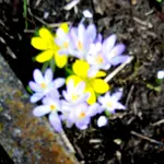 Unbenannt2.webp