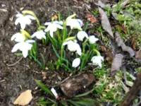 2010  Berlin 03 102.webp