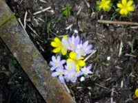 2010  Berlin 03 103.webp