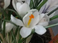 k-IMG_2698.webp