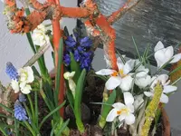 k-IMG_2699.webp
