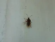 P1000316.webp