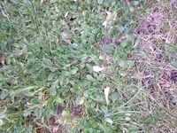 Foto1134.webp