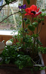 DSCF0732.webp