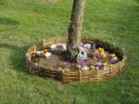 DSCF0771.webp
