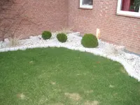 034.webp