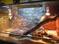 DSCF1518.webp