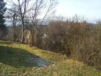 DSCF6474.webp