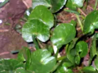 IMG_4932.webp