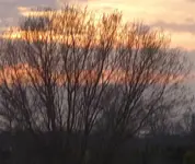 P1030001.webp