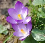 DSC_4368.webp