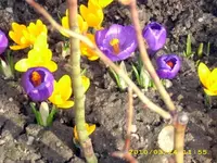 JD500696.webp