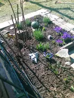 beet25032010.webp