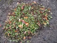 März 2010 2.webp