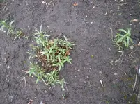 März 2010 3.webp
