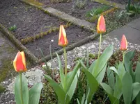 März 2010 1.webp