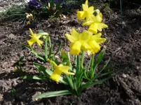 25.3.2010 040.webp