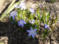 25.3.2010 041.webp