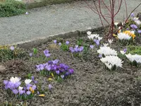 IMG_0514.webp