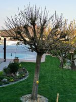 IMG_20220421_182221.jpg