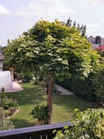IMG_20230828_113254.jpg