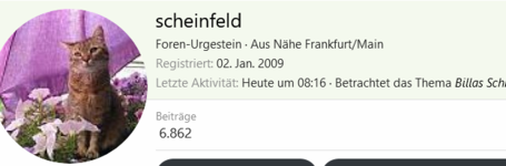 Screenshot 2024-01-02 at 09-40-28 scheinfeld.png