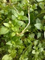 Lumii_20240101_120836694.webp