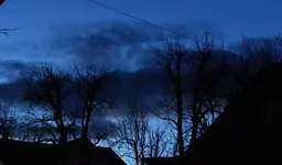 P1420778.webp