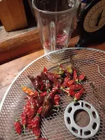 IMG_20240104_145542.webp