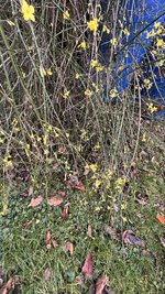 IMG_8921.jpeg