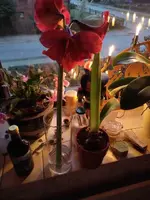 1703402497574.webp