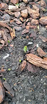 20240106_125237.webp