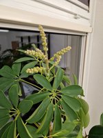 20231023_073000.jpg