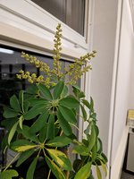 20231031_064107.jpg