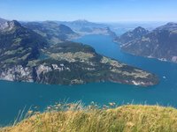 IMG_1367.jpeg
