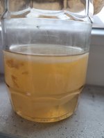 20240107_142049.jpg