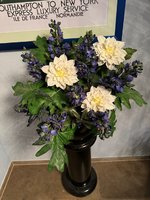 IMG_4446.jpeg